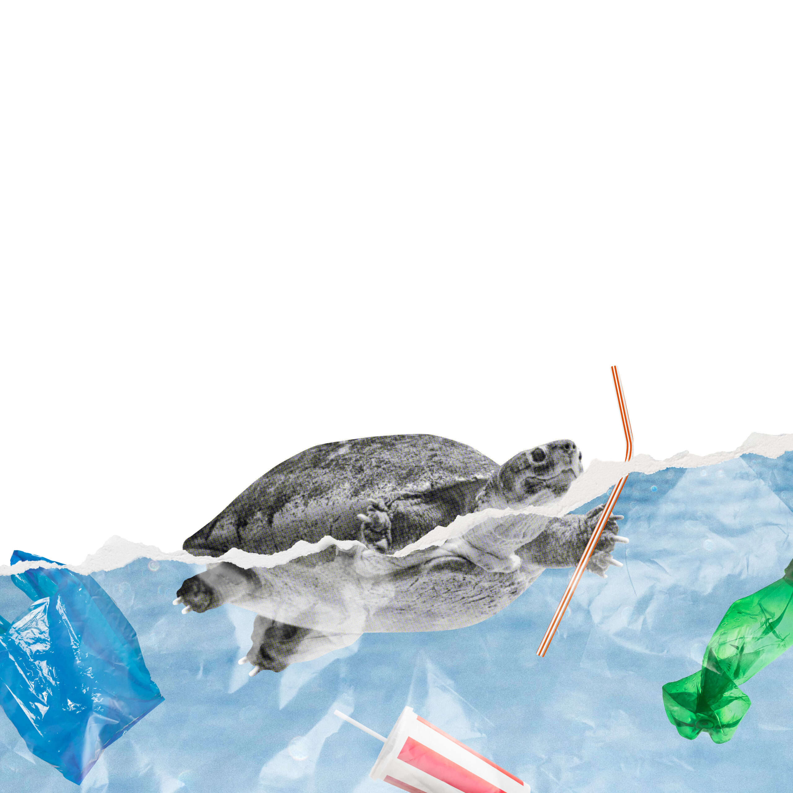 Fuck Plastic Co. | Bolsas Compostables para salvar al planeta